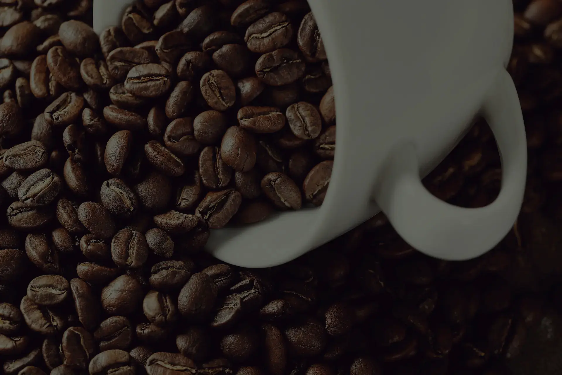 Kaffeebohnen in Tasse