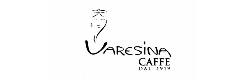 varesina logo varesina logo