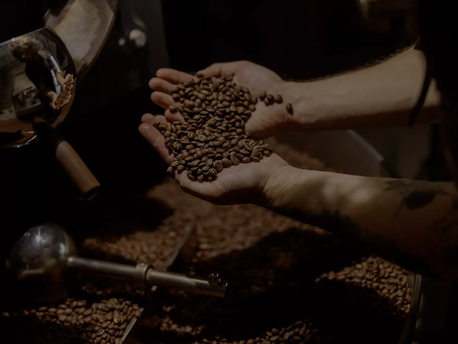 Kaffeebohnen gerstet Kaffeebohnen gerstet